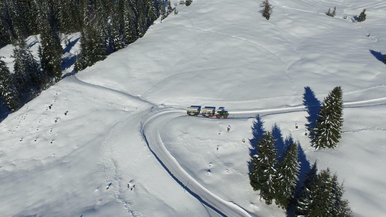 Ski In-Ski Out - Gaestehaeuser Saalbach-Hinterglemm - Wallegghof Christianhof Kültér fotó